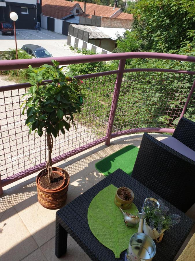 Lux Apartman Cacak Čačak Exterior foto